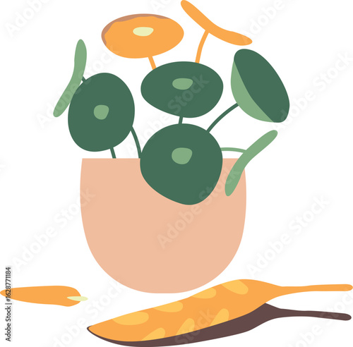 Sick withered flower in pot