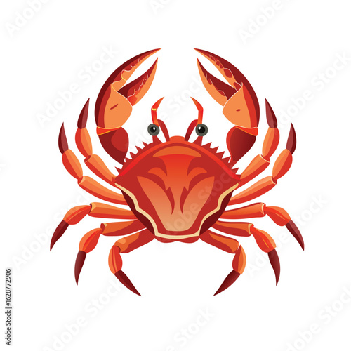 red crab on white background -crab-look-like-real-vector-on-white-background