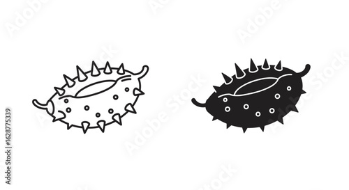 Sea Urchin Icon in Black and White Style
