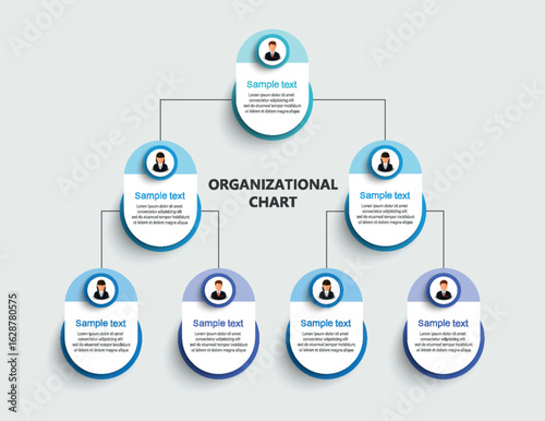 Corporate organizational chart with business avatar icons. Business hierarchy infographic elements
