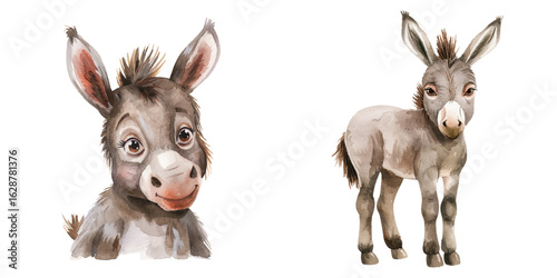 cute donkey watercolor vector illustration