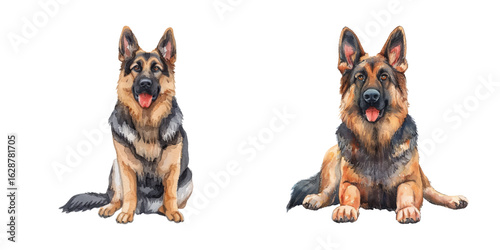 cute german shepherd watercolor vector illustration