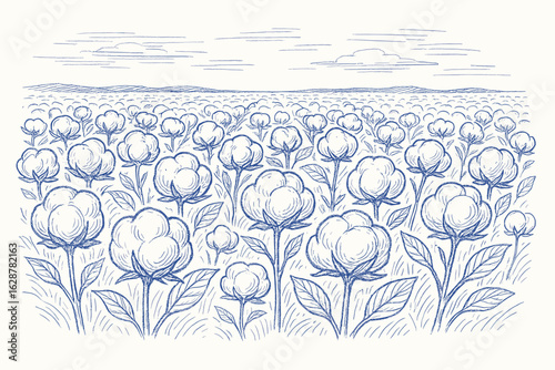 Blue sketch hand-drawn style cotton field horizontal view on white background