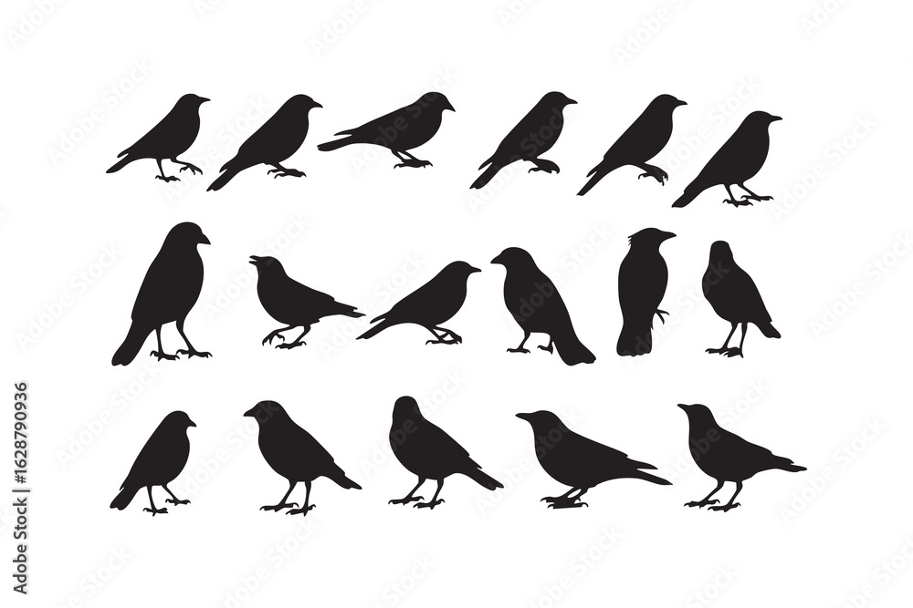 Obraz premium Collection of black bird silhouettes in various poses on a white background 3d vector