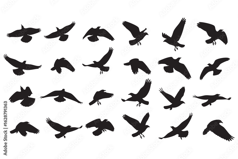 Diverse collection of black bird silhouettes in various flying poses against a white background