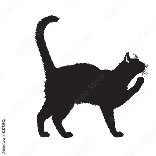 Black cat raising paw with fluffy tail feline silhouette