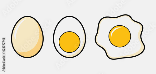 Three stages of eggs whole boiled and fried
