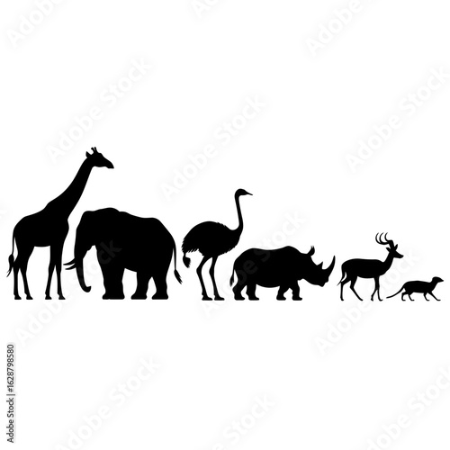 Animal Silhouettes in Evolutionary Sequence