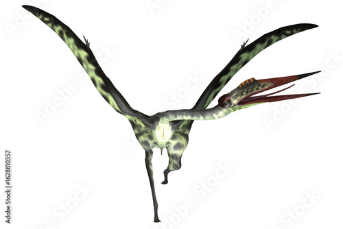 Quetzalcoatlus Running - Quetzalcoatlus was a carnivorous pterosaur reptile that lived in the Cretaceous Period of North America.