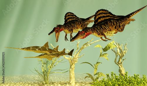 Spinosaurus hunts Onchopristis Fish - Two Spinosaurus sail back dinosaurs chase after Onchopristis fish during the Cretaceous Period.