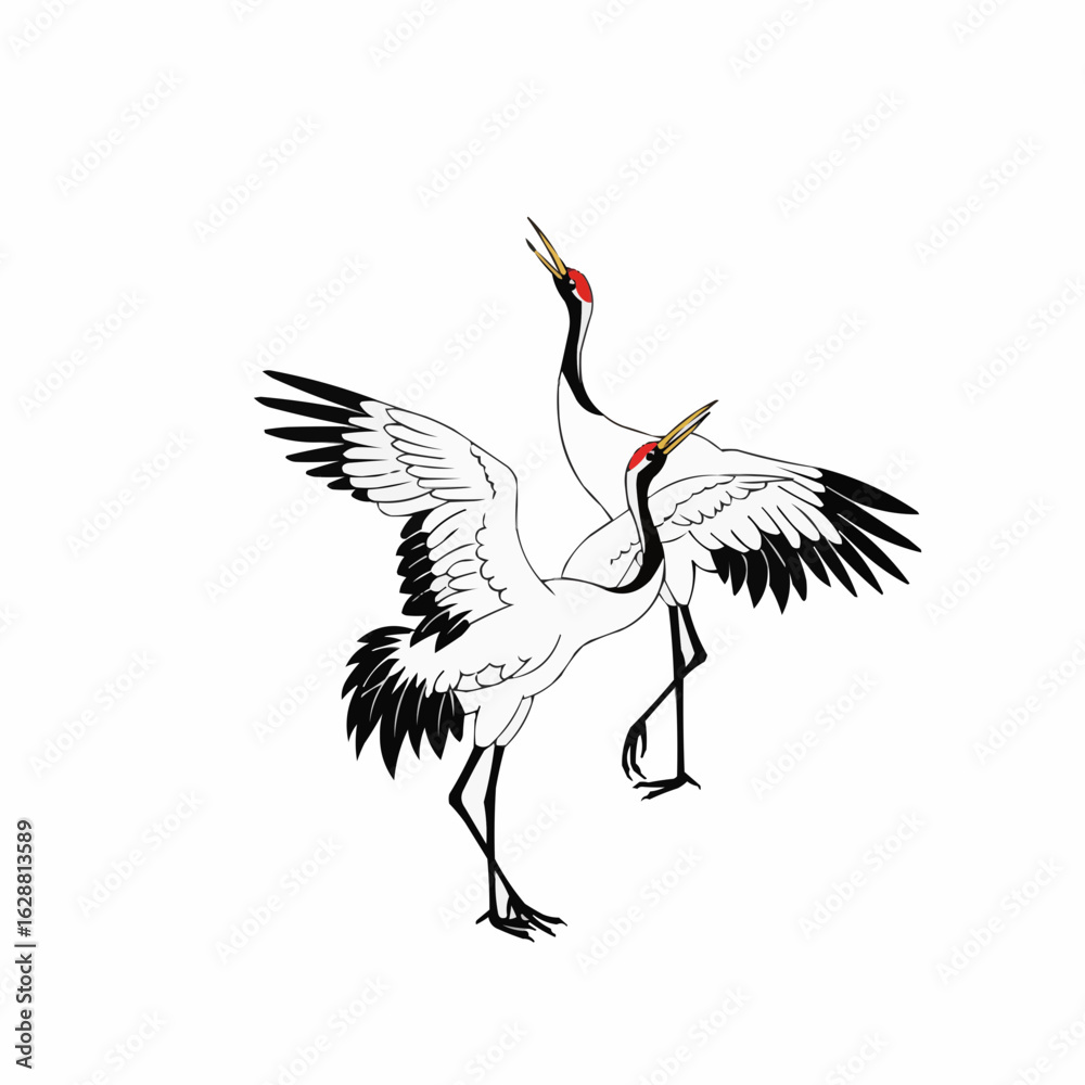 Fototapeta premium Two cranes dancing with outstretched wings in traditional style 