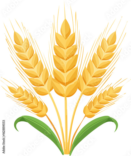wheat ears and wheat