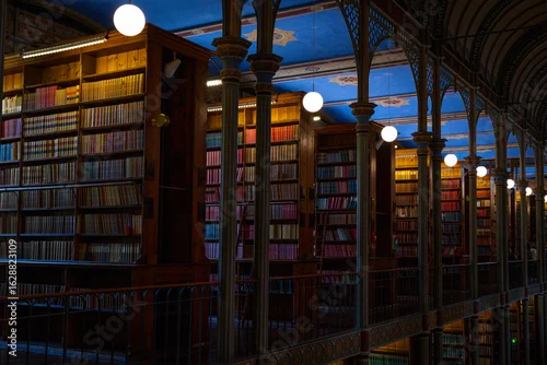 Obraz Old Library in Copenhagen 