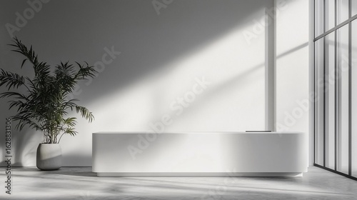 Modern minimalist office reception area with plant and sunlight shadows