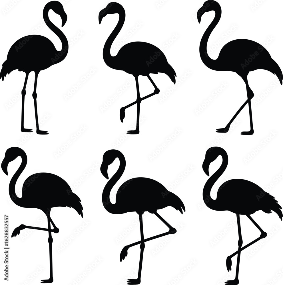 Fototapeta premium Collection of six black flamingo silhouettes in various elegant poses on a white background