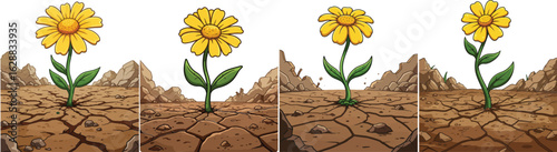 Yellow flower growing on dry cracked soil in a barren landscape with rocky background nature growth cycle