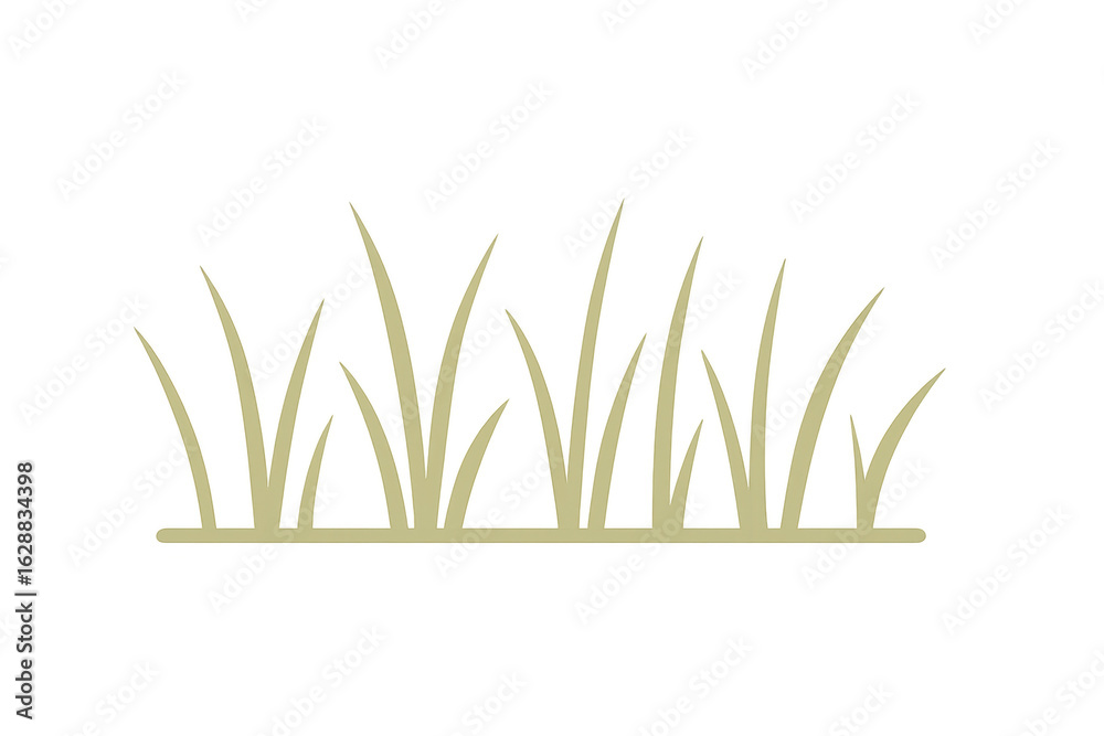 Fototapeta premium Seamless grass border on transparent background, ideal for nature-themed designs and spring projects