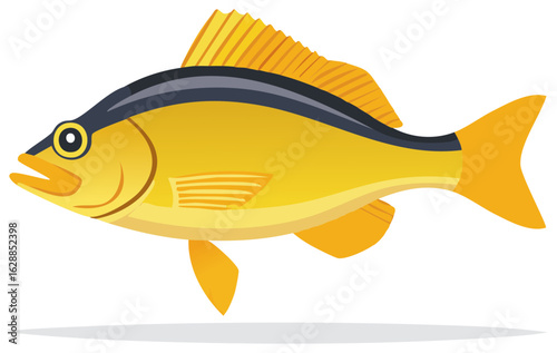 Illustration of a yellow fish with dark blue stripe and orange fins swimming