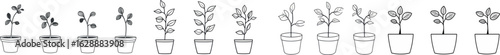 The growth of a plant, from seed to leaves, is represented by a continuous one-line drawing, characterized by its modern and simple design elements, including root and sprout