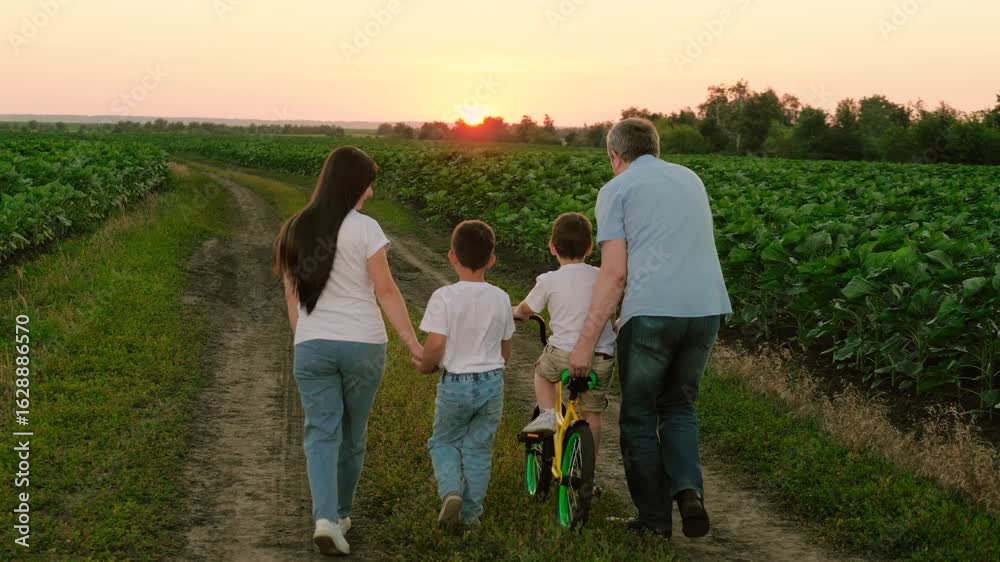Joyful mother grasps son hand while father instructs younger son in art of cycling. Satisfied dad teaches delighted son cycling and mother strolls alongside with preschooler boy on road passing garden Joyful mother grasps son hand while father instructs younger son in art of cycling. Satisfied dad teaches delighted son cycling and mother strolls alongside with preschooler boy on road passing garden