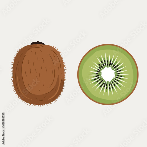 Whole and sliced kiwi fruit illustration, showcasing brown fuzzy skin and vibrant green flesh.