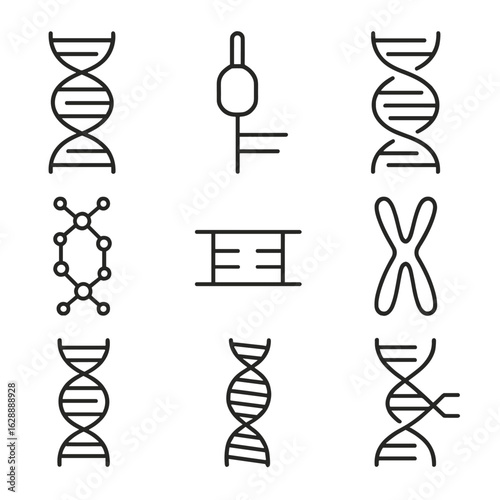 Icon replication pair structure dna nucleotide base coiled chromosome vector fork double