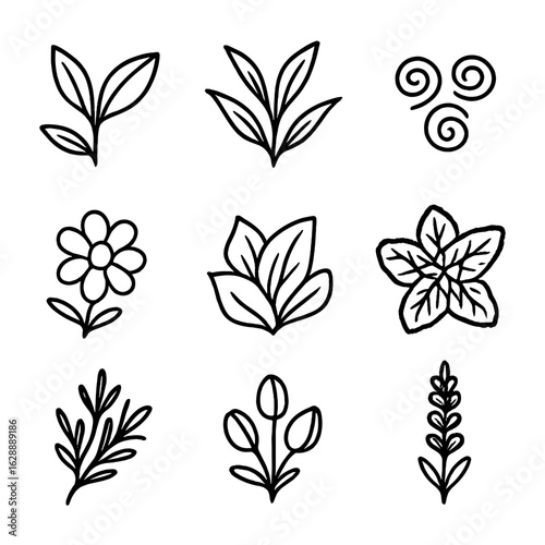Lavender icon chamomile rooibos dried herbal jasmine vector sprigs tea icons leaves