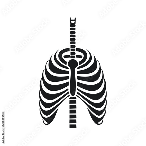 Human Rib Cage Skeleton Body Structure Chest Anatomy Isolated Medical Healthcare Black Silhouette