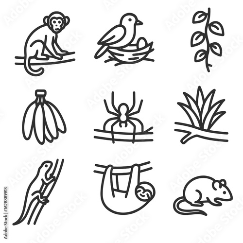 Bunch icon epiphyte mammal vector hanging vine tree branch rainforest set spider