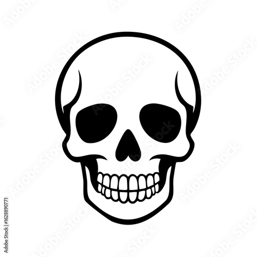 Bold graphic illustration of a human skull with a detailed outline.
