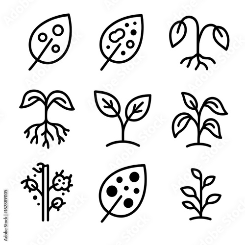 Vector rot wilting icon mold disease powdery plant curled stunted growth icons