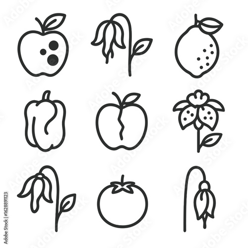 Splitting shriveled vector black blossom flower issues rotting icon malformed fruit