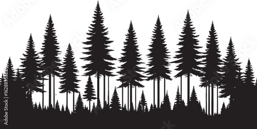 A vector illustration of fir and pine trees with snowy branches and a fern frond set against a winter forest backdrop for the holiday season