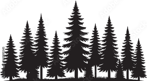 A vector illustration of fir and pine trees with snowy branches and a fern frond set against a winter forest backdrop for the holiday season