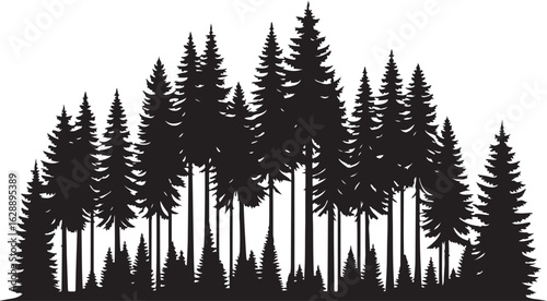 A vector illustration of fir and pine trees with snowy branches and a fern frond set against a winter forest backdrop for the holiday season