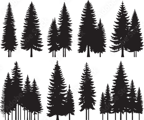 A vector illustration of fir and pine trees with snowy branches and a fern frond set against a winter forest backdrop for the holiday season