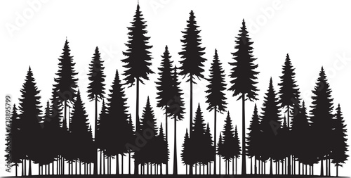 A vector illustration of fir and pine trees with snowy branches and a fern frond set against a winter forest backdrop for the holiday season