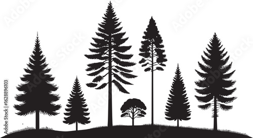 A vector illustration of fir and pine trees with snowy branches and a fern frond set against a winter forest backdrop for the holiday season