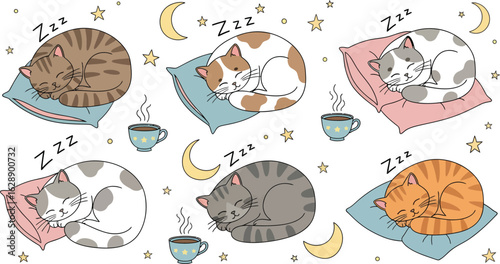 Cute hand drawn sleeping cats on pillows with moon and stars pattern