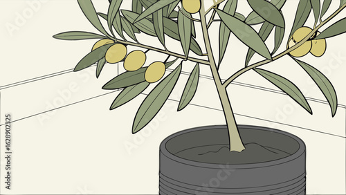 Decorative Olive Tree in a Pot.