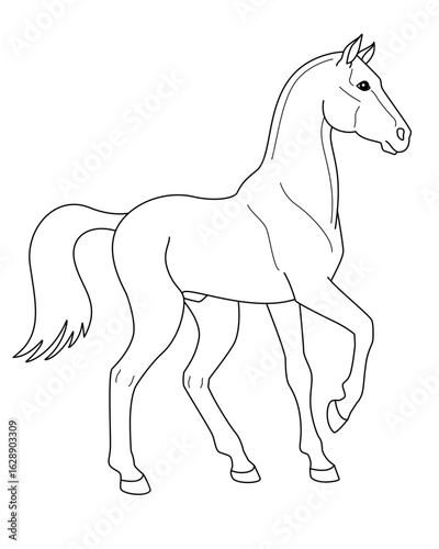 Horse, sport short-haired stallion, domestic animal symbol 2026 - vector linear picture for coloring. Stallion thoroughbred graceful animal for coloring