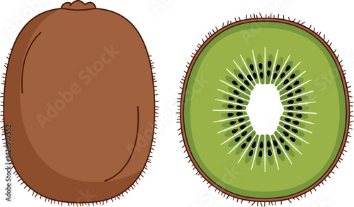 Whole and sliced kiwi fruit illustration, showing brown fuzzy skin and vibrant green flesh with tiny black seeds.