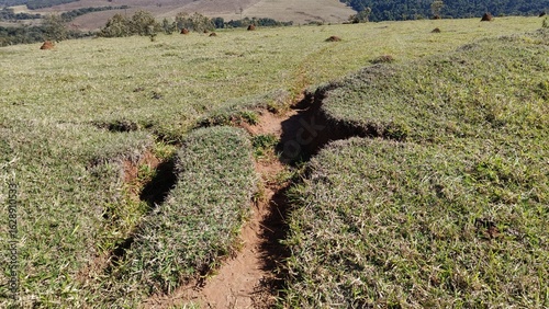 Foto Formação de voçoroca ou ravina em meio ao pasto, em uma área degradada de uma fa