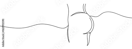 Continuous vector line of woman's buttocks, transparent background, exercise, body, stroke correction.