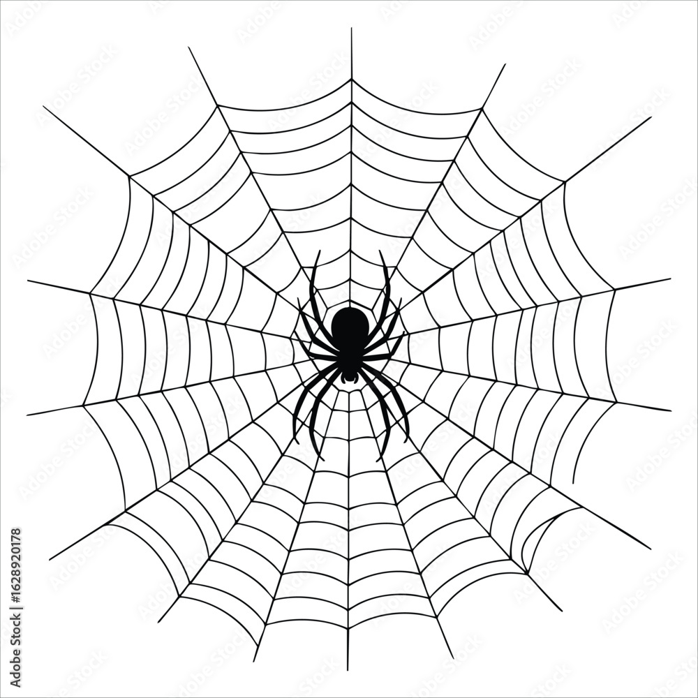 Fototapeta premium Adobe Illustrator Artwork