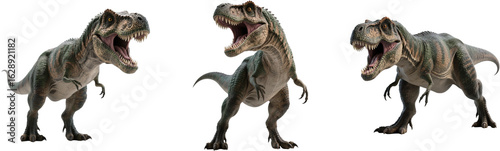 ティラノサウルス　恐竜　古代生物　動物