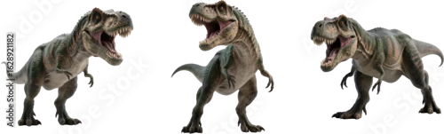 Fototapeta ティラノサウルス　恐竜　古代生物　動物