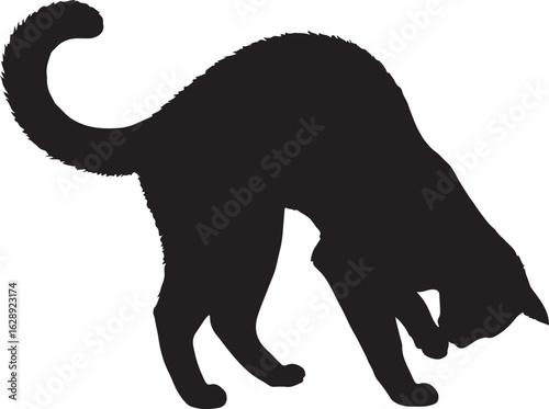 Black silhouette of a cat with a fluffy tail bending down animal