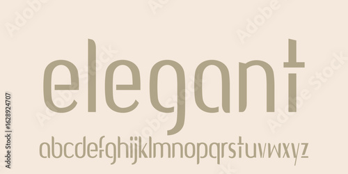 Elegant modern alphabet font logo. Typography for fashion, luxury letters, serif classic letters, italics, decorative retro vintage wedding logo. vector illustration