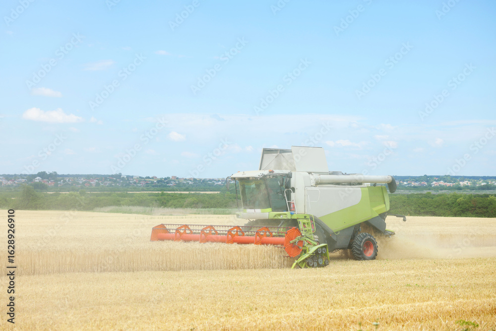 Fototapeta premium Modern combine harvester working in wheat field